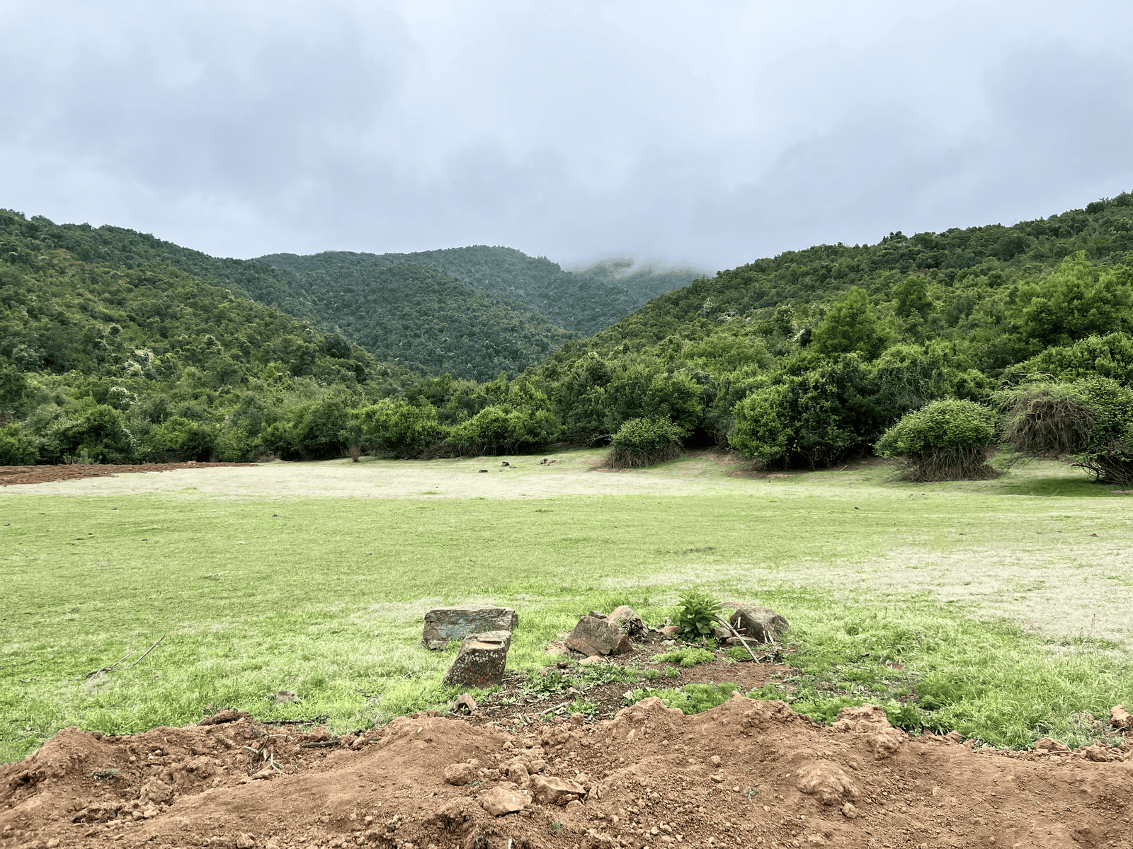 Pradera entre cerros